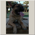 Kenoa and Clints from Larry Coldwater Payton 11mths so cool a08.jpg